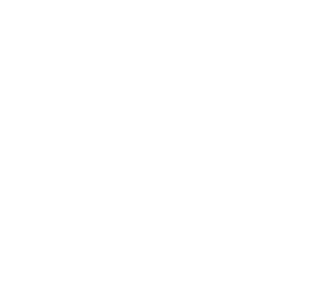 custom-web-design-LIG Solutions-logo logo used on LIG's new custom website