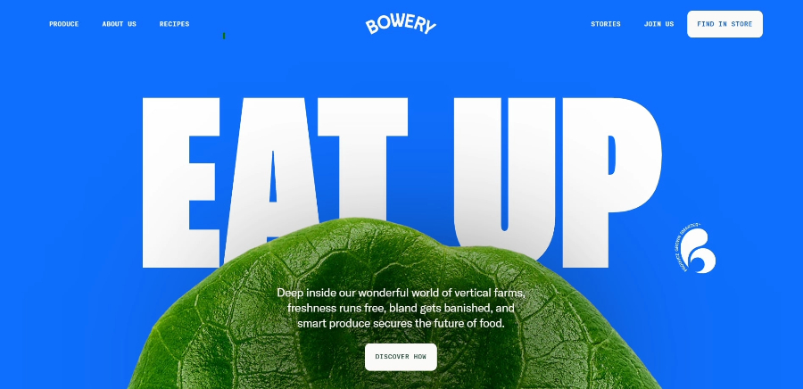 small_business_websites_bowery