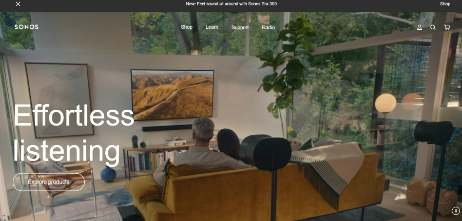 small_business_websites_sonus
