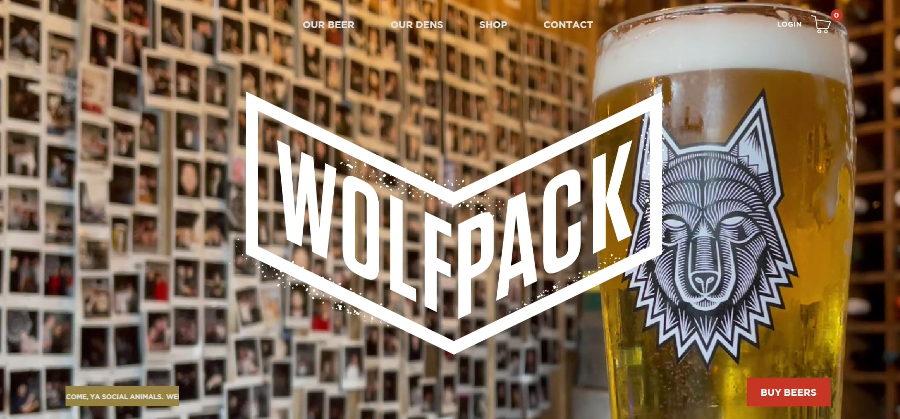 small_business_websites_wolfpack