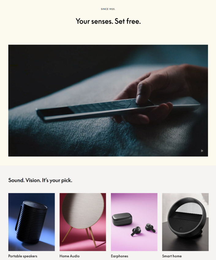 custom-web-design-bang-and-olufsen-full-3 A hand with the remote control
