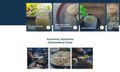 custom-website-design-company-ventura-foods-full-2 ventura website screenshot