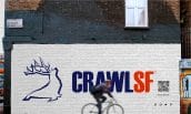 ds-branding portfolio-image-crawlsf 4-min ds-branding portfolio-image-crawlsf 4-min