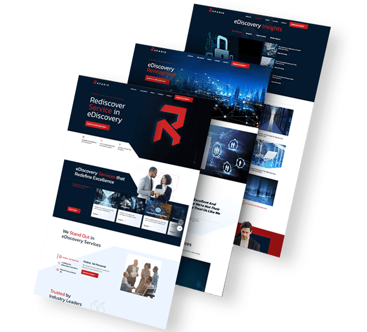 repario-data-trio A trio of Repario web design images