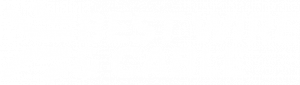 Best Wire & Cable Logo_white 296x60 Best Wire & Cable Logo_white 296×60