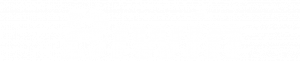 Biwin Consumer Logo_white 296x60-01 Biwin Consumer Logo_white 296×60-01