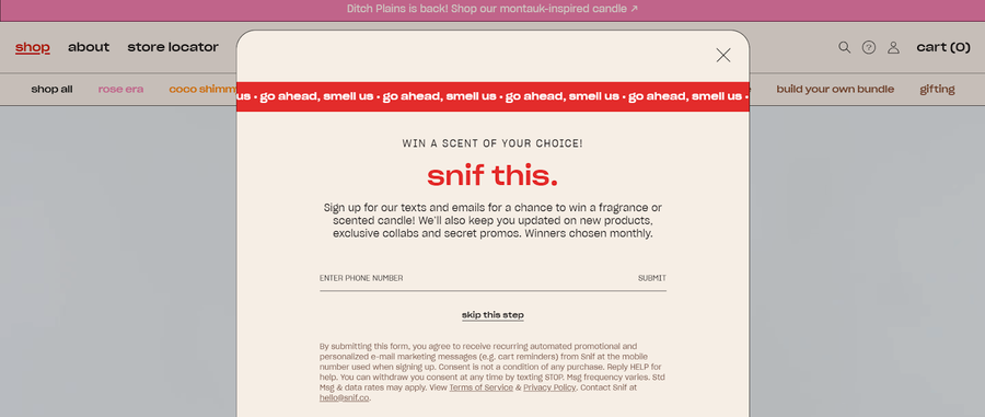 Snif website screenshot