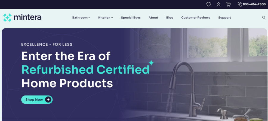 Mintera website screenshot