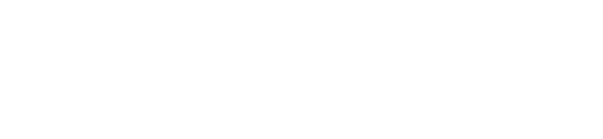 devensoft_logo devensoft_logo