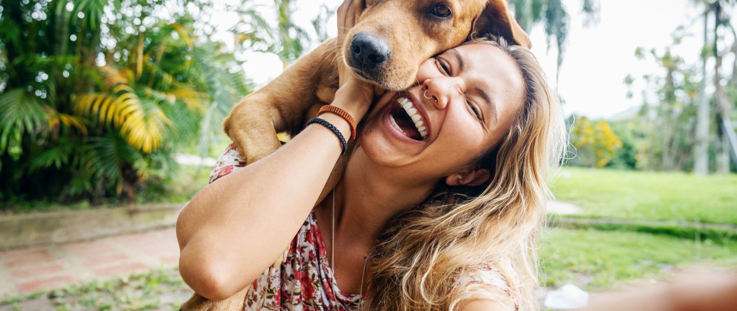 absolute dogs background new A woman with a dog