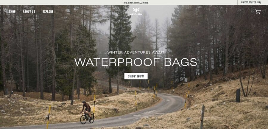 Apidura website screenshot