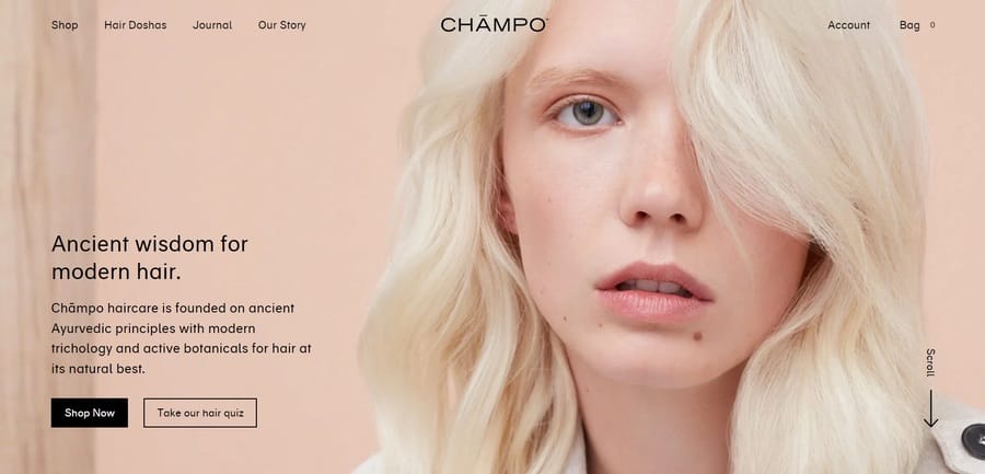 Champo website screenshot