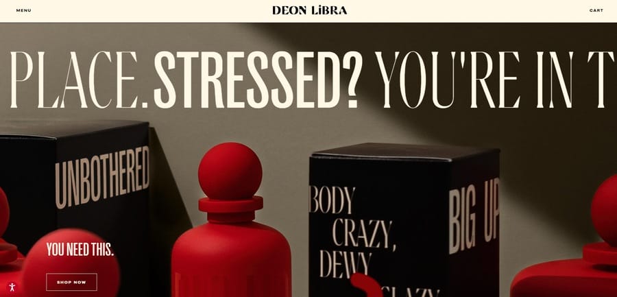 Deon Libra website screenshot