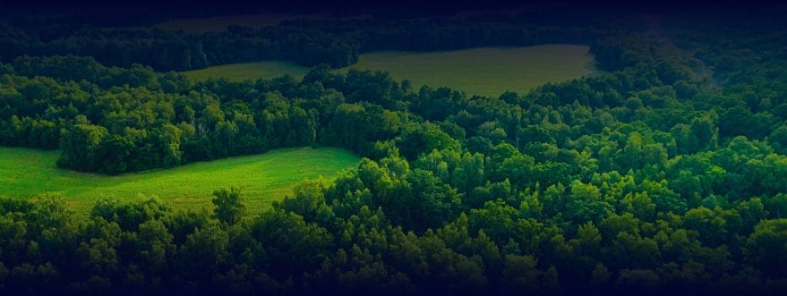 Background image for H2 Compiance's case study showing a green forest and meadows